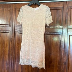 Beautiful NWOT blush lace dress!